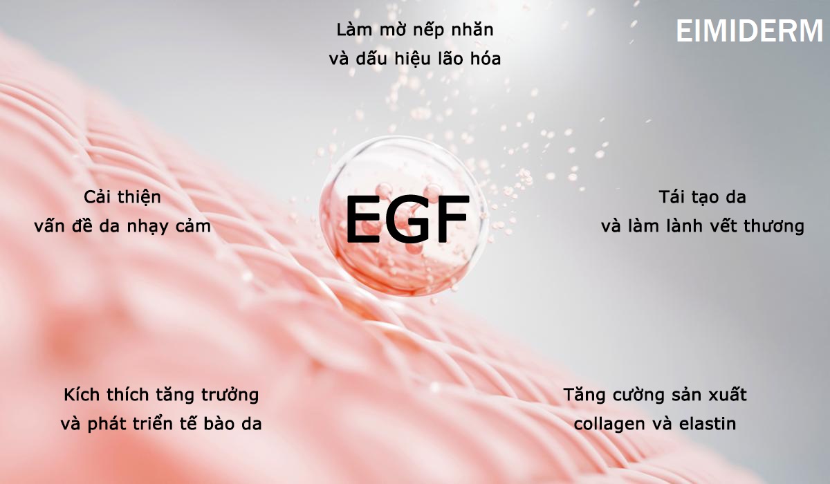 Egf La Gi Chia Khoa Cho Da Khoe Manh Va Tuoi Tre 2